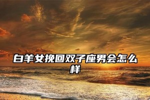 双子女离婚后如何挽回婚姻？（分析双子女性格特点，制定有效挽回计划）