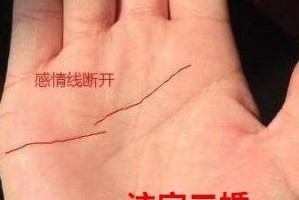 爱情的路线图（以感情线为主题，探寻爱情的起点与终点）