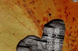 远离烦恼，不要一直给喜欢的人发信息（如何保持理智与魅力？）