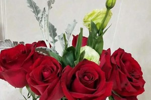 如何迁户口？（以领了结婚证为例，详细介绍迁户口的流程和注意事项）