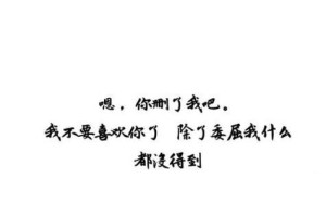 挽回失去的爱情，重拾幸福（失去后的痛苦，挽回的努力与决心，最终的幸福）
