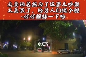 如何处理吵架情况？（掌握这些技巧，让你的关系更加和谐）