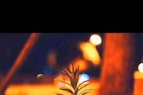 挽回爱情的真相（分手后的挽回，为何常常失败？——挽回爱情的原因分析）