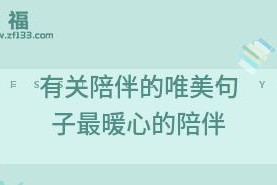 爱情婚姻的唯美句子（探寻婚姻情感中的细节之美）