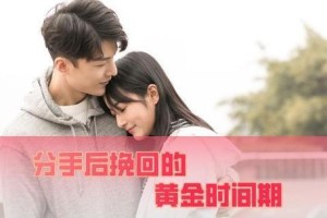 以不开心分手怎么挽回（情感危机下的情况分析和解决方案）