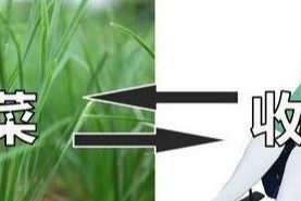 有足够筹码，还能挽回爱情吗？（如何使用筹码去挽回爱情，筹码、挽回、爱情）