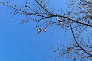 恋爱中的分寸拿捏（掌握好界限，让恋情更健康）