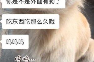 挑选适合自己的男友需要解决的问题（以找个男友总是很忙怎么办为例，分享解决方法）
