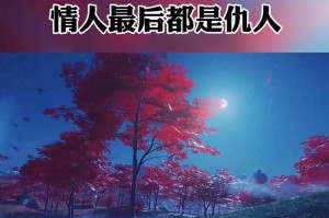 情人分手后的挽回之路（如何用诚恳和真爱重拾曾经的美好）