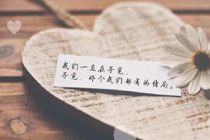 以情感花镇为圣诞首登纽约时代广场献上浪漫主题之夜（带您一探究竟，独家揭秘年度必看圣诞秀）