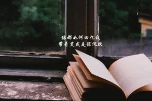 优秀让我不失恋（掌握自己的魅力，保持情感稳定）