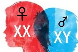 分析不同女性个性特点与习惯，认识自己的性格类型（分析不同女性个性特点与习惯，认识自己的性格类型）