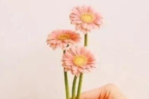 寻找告白的秘密（用一段深情告白，让爱不再沉默）