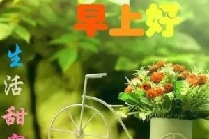 高效撩妹必备！回复率高的打招呼用语大全（用这些话语轻松打动妹子心）