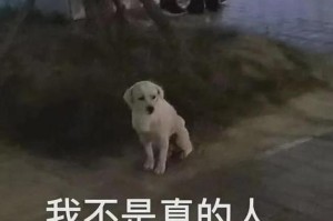 选择猴子看出你的爱情观（探究个人爱情观的秘密武器——情感测试）