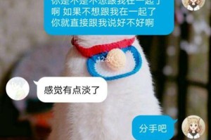 删除好友后如何挽回友谊？（15个实用技巧帮你恢复友谊）
