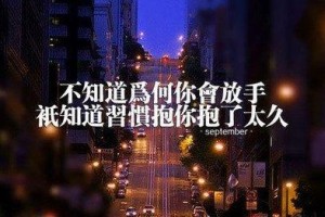 分手后如何挽回对方？（分手的原因和挽回的技巧详解，走出失恋的阴影）