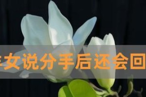 分手后挽回，话说得好才有希望（15句妙语让你成功挽回爱情）