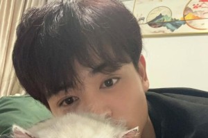 单身生活也能过得精彩——如何提高生活质量（15个小技巧教你过得更好）
