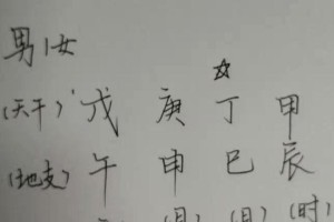 结婚前必读（慎重选择配偶，避免家庭不和谐）