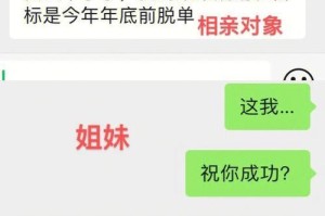 从相亲到聊天，揭秘情感故事（相亲聊天，如何深入了解对方的内心世界？）