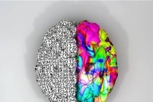 测测你的脑年龄有多大（用科学方法测试你的脑年龄，看看是否与实际年龄相符）