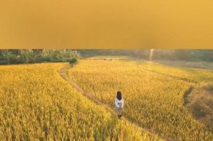 如何挽回学生时代的前任（15个步骤助你成功挽回心爱的前任）