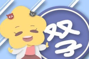 以双子座挽回的几率有多大？（揭秘双子座挽回成功的关键因素）