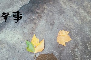 十年情意绵绵，为你悉心呵护（不离不弃的爱，只为你一生守候）