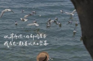 无预兆的分手（为什么有些人会突然提出分手？如何应对？）